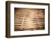 Bamboo Weave-Erin Berzel-Framed Premium Photographic Print