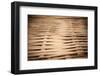 Bamboo Weave-Erin Berzel-Framed Premium Photographic Print