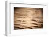 Bamboo Weave-Erin Berzel-Framed Premium Photographic Print