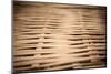 Bamboo Weave-Erin Berzel-Mounted Premium Photographic Print