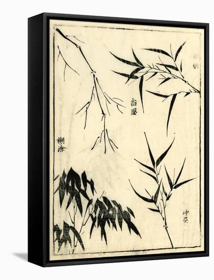 Bamboo Woodblock I-Vision Studio-Framed Stretched Canvas