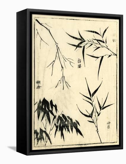 Bamboo Woodblock I-Vision Studio-Framed Stretched Canvas