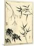 Bamboo Woodblock I-Vision Studio-Mounted Art Print