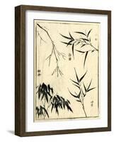 Bamboo Woodblock I-Vision Studio-Framed Art Print