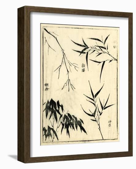 Bamboo Woodblock I-Vision Studio-Framed Art Print