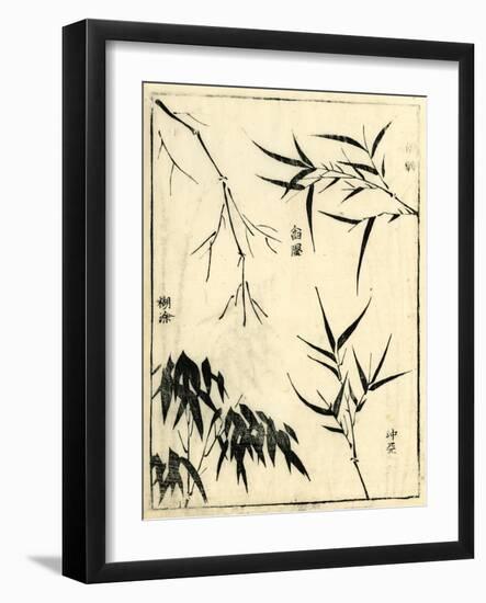 Bamboo Woodblock I-Vision Studio-Framed Art Print