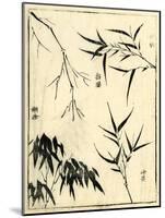 Bamboo Woodblock I-Vision Studio-Mounted Art Print