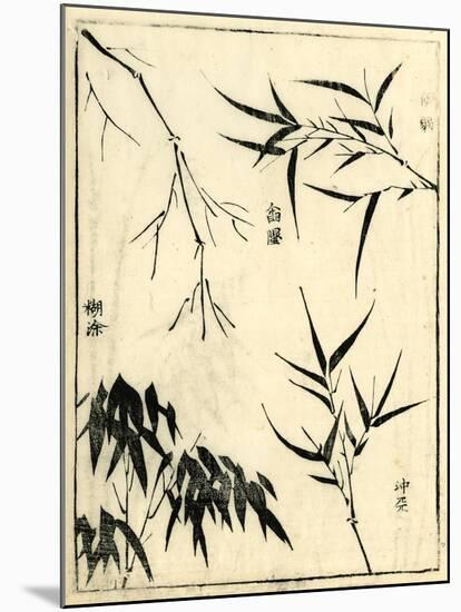 Bamboo Woodblock I-Vision Studio-Mounted Art Print