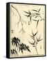 Bamboo Woodblock I-Vision Studio-Framed Stretched Canvas