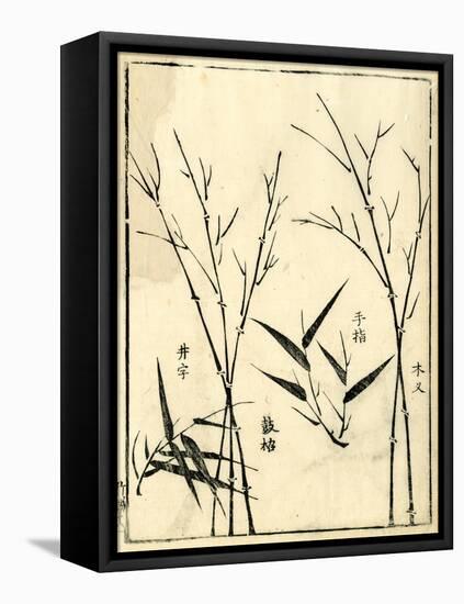 Bamboo Woodblock II-Vision Studio-Framed Stretched Canvas