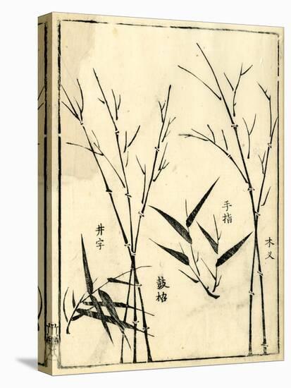 Bamboo Woodblock II-Vision Studio-Stretched Canvas