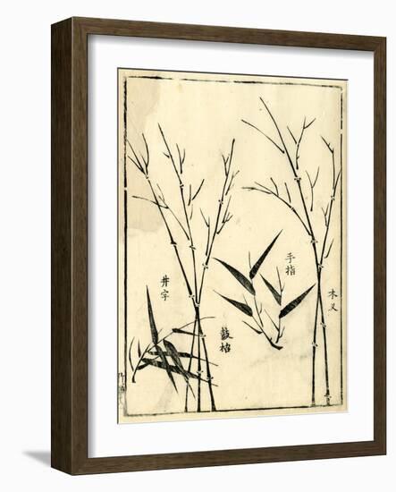 Bamboo Woodblock II-Vision Studio-Framed Art Print