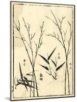 Bamboo Woodblock II-Vision Studio-Mounted Art Print