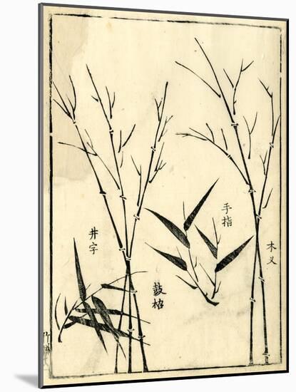 Bamboo Woodblock II-Vision Studio-Mounted Art Print