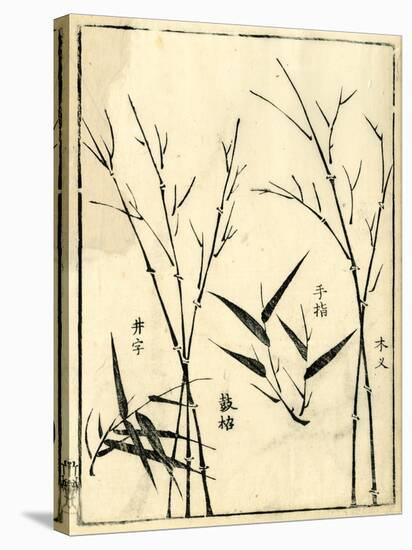 Bamboo Woodblock II-Vision Studio-Stretched Canvas