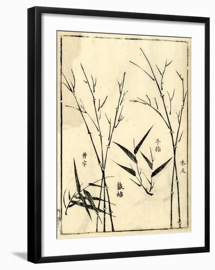 Bamboo Woodblock II-Vision Studio-Framed Art Print