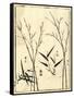 Bamboo Woodblock II-Vision Studio-Framed Stretched Canvas