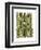 Bamboo Zebra-Fab Funky-Framed Art Print