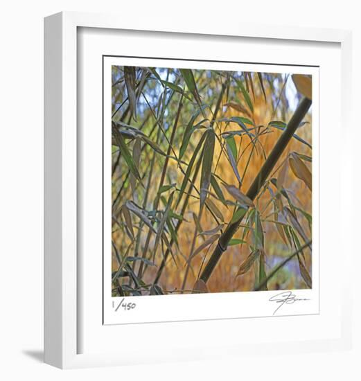 Bamboo-Ken Bremer-Framed Limited Edition