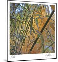 Bamboo-Ken Bremer-Mounted Limited Edition