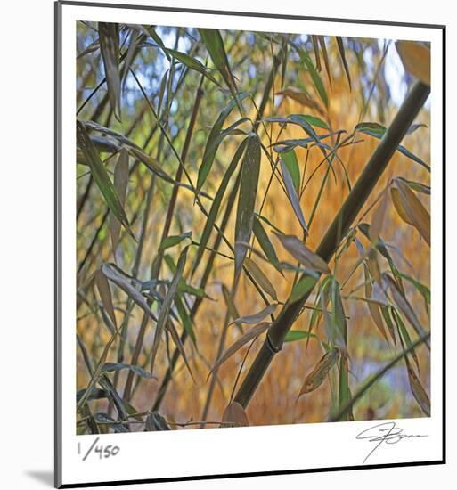 Bamboo-Ken Bremer-Mounted Limited Edition