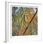 Bamboo-Ken Bremer-Framed Limited Edition