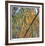 Bamboo-Ken Bremer-Framed Limited Edition