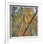 Bamboo-Ken Bremer-Framed Limited Edition