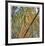 Bamboo-Ken Bremer-Framed Limited Edition