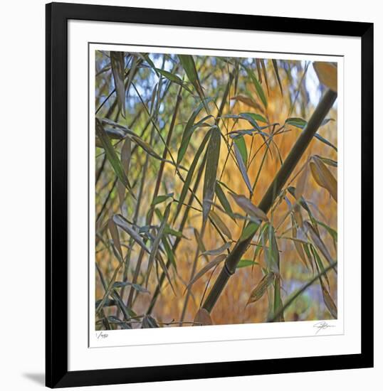 Bamboo-Ken Bremer-Framed Limited Edition