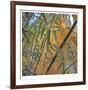 Bamboo-Ken Bremer-Framed Limited Edition