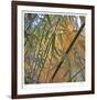 Bamboo-Ken Bremer-Framed Limited Edition