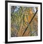 Bamboo-Ken Bremer-Framed Limited Edition