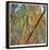 Bamboo-Ken Bremer-Framed Limited Edition