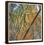 Bamboo-Ken Bremer-Framed Limited Edition