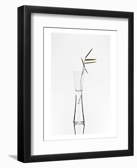 Bamboo-null-Framed Art Print