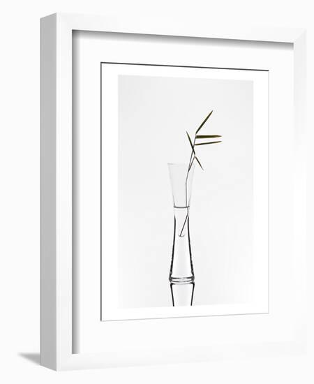 Bamboo-null-Framed Art Print