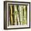 Bamboos Forest, Sagano, Kyoto, Japan-Rob Tilley-Framed Art Print