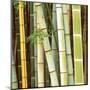 Bamboos Forest, Sagano, Kyoto, Japan-Rob Tilley-Mounted Art Print