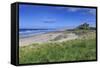 Bamburgh Castle across the Dunes, Early Summer Afternoon, Northumberland, England, United Kingdom-Eleanor Scriven-Framed Stretched Canvas