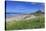 Bamburgh Castle across the Dunes, Early Summer Afternoon, Northumberland, England, United Kingdom-Eleanor Scriven-Stretched Canvas