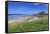 Bamburgh Castle across the Dunes, Early Summer Afternoon, Northumberland, England, United Kingdom-Eleanor Scriven-Framed Stretched Canvas