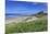 Bamburgh Castle across the Dunes, Early Summer Afternoon, Northumberland, England, United Kingdom-Eleanor Scriven-Mounted Photographic Print