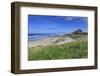 Bamburgh Castle across the Dunes, Early Summer Afternoon, Northumberland, England, United Kingdom-Eleanor Scriven-Framed Photographic Print