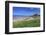 Bamburgh Castle across the Dunes, Early Summer Afternoon, Northumberland, England, United Kingdom-Eleanor Scriven-Framed Photographic Print