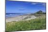 Bamburgh Castle across the Dunes, Early Summer Afternoon, Northumberland, England, United Kingdom-Eleanor Scriven-Mounted Photographic Print