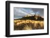 Bamburgh Castle and Dune Marram Grass Bathed in Golden Evening Light, Bamburgh, Northumberland-Eleanor Scriven-Framed Photographic Print
