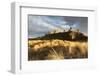 Bamburgh Castle and Dune Marram Grass Bathed in Golden Evening Light, Bamburgh, Northumberland-Eleanor Scriven-Framed Photographic Print