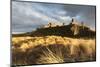 Bamburgh Castle and Dune Marram Grass Bathed in Golden Evening Light, Bamburgh, Northumberland-Eleanor Scriven-Mounted Photographic Print