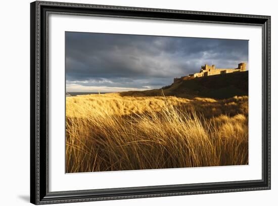 Bamburgh Castle and Marram Grass (Ammophila Arenaria) Lit by Golden Evening Light-Eleanor-Framed Photographic Print